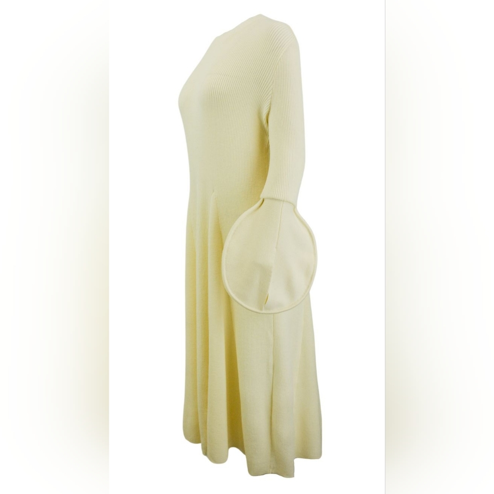 NWT Akiranaka dress